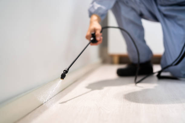 Bed Bug Pre-Treatment Preparation Assessment in Newark