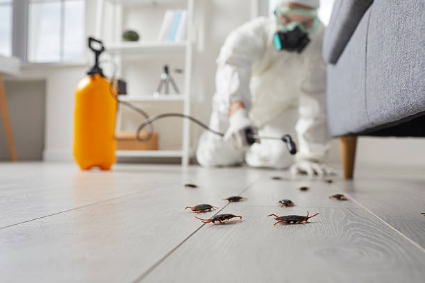 Post-Treatment Bed Bug Interceptor Monitoring in Newark