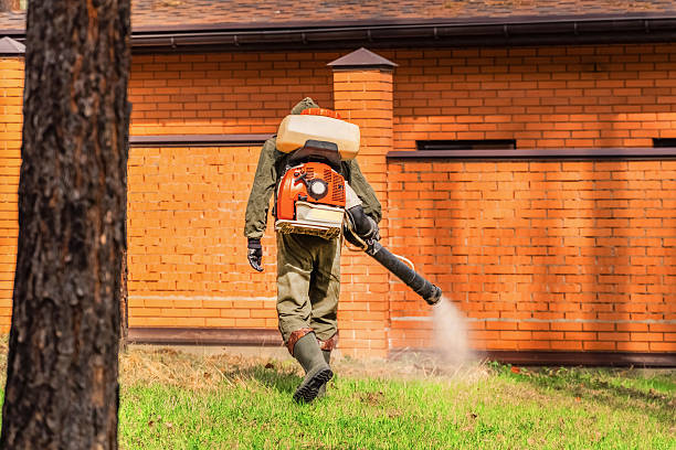 Bed Bug Clearance Verification and Documentation in Newark